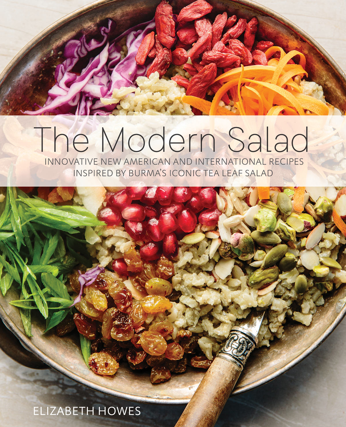 Modern salad cover