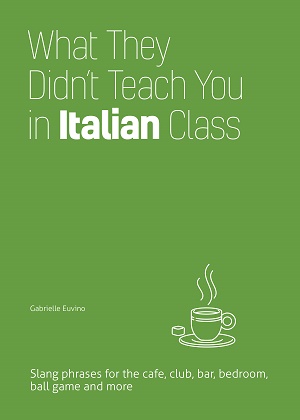 What They Didn't Teach You in Italian Class Cover Photo