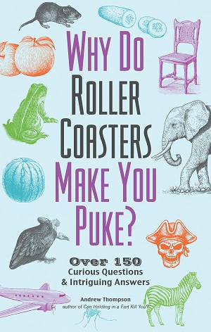 Why Do Roller Coasters Make You Puke? Cover Photo