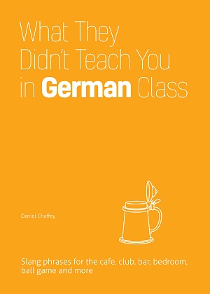 What They Didn't Teach You in German Class Cover Photo