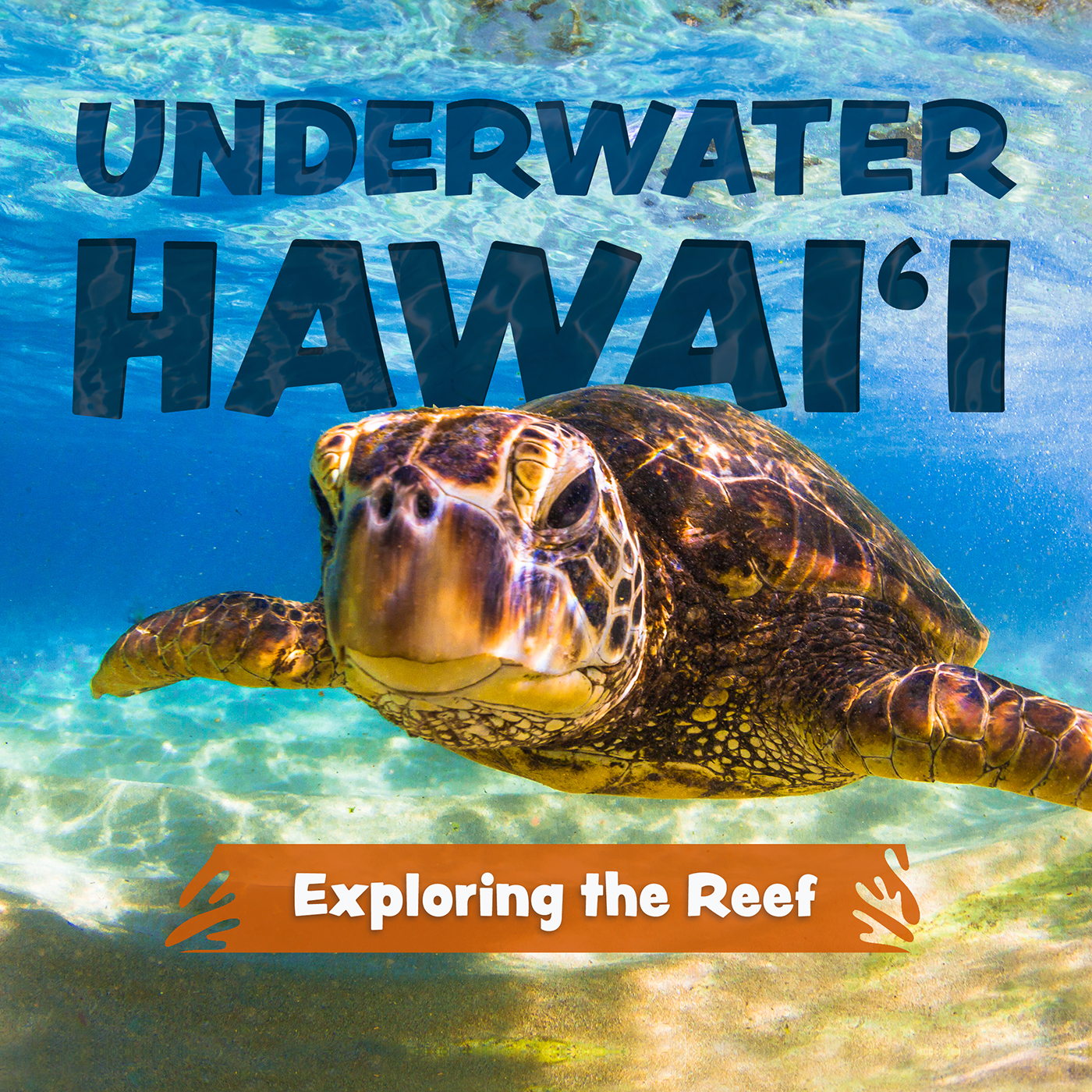 Underwater Hawai'i