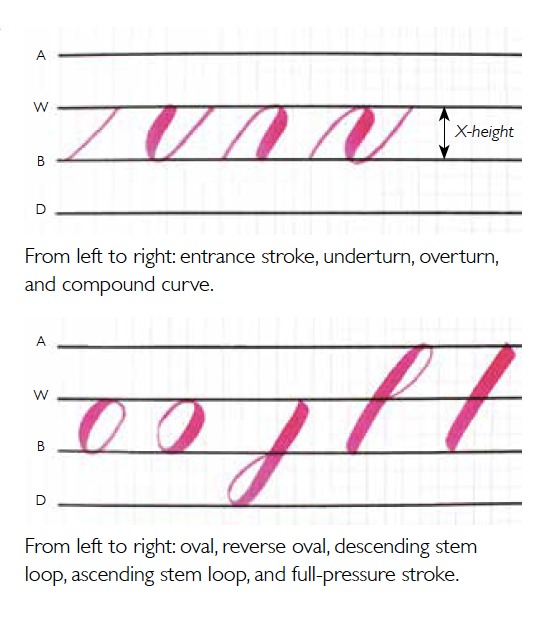 Basic Strokes How To Do Brush Pen Lettering