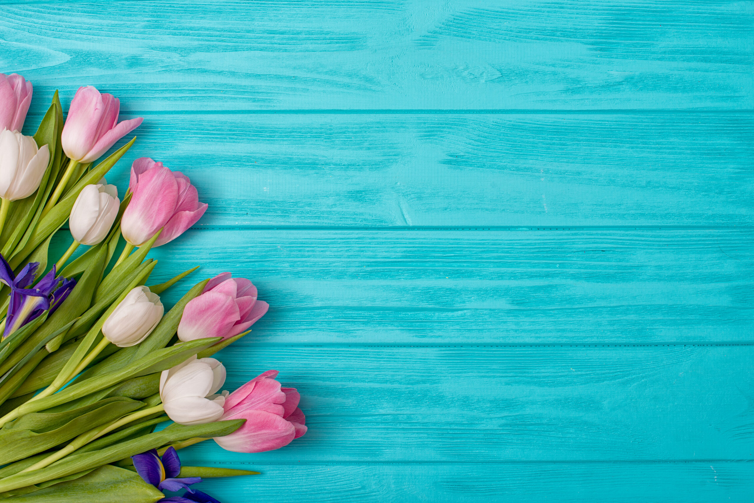 Spring,Background!a,Bouquet,Of,Tulips,On,A,Wooden,Background.holiday,Greeting